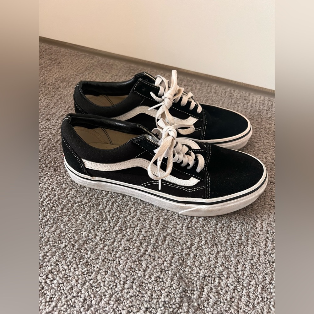 Vans Skater Sneakers